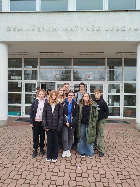 shared image (1).jpeg